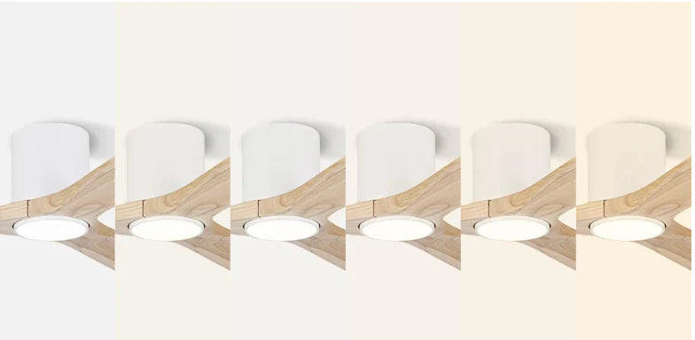 Créez l'ambiance parfaite :le ventilateur avec éclairage LED le plus personnalisable du marché.